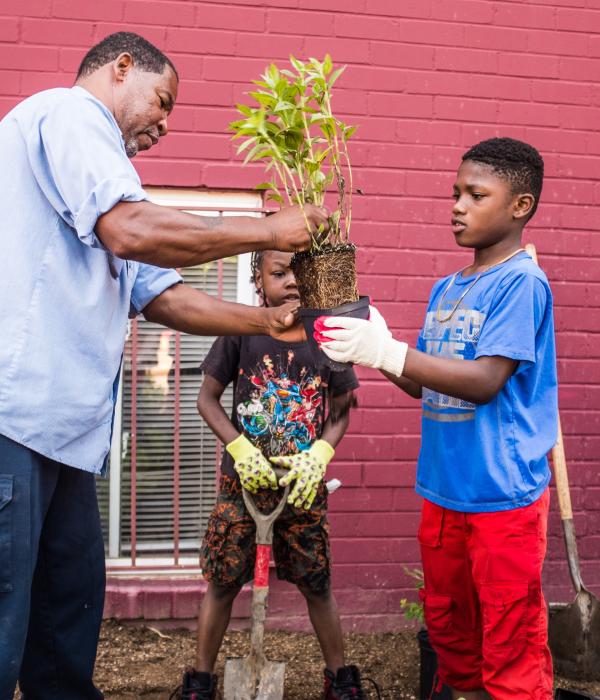 Adult handing a seedling to a child in a community space